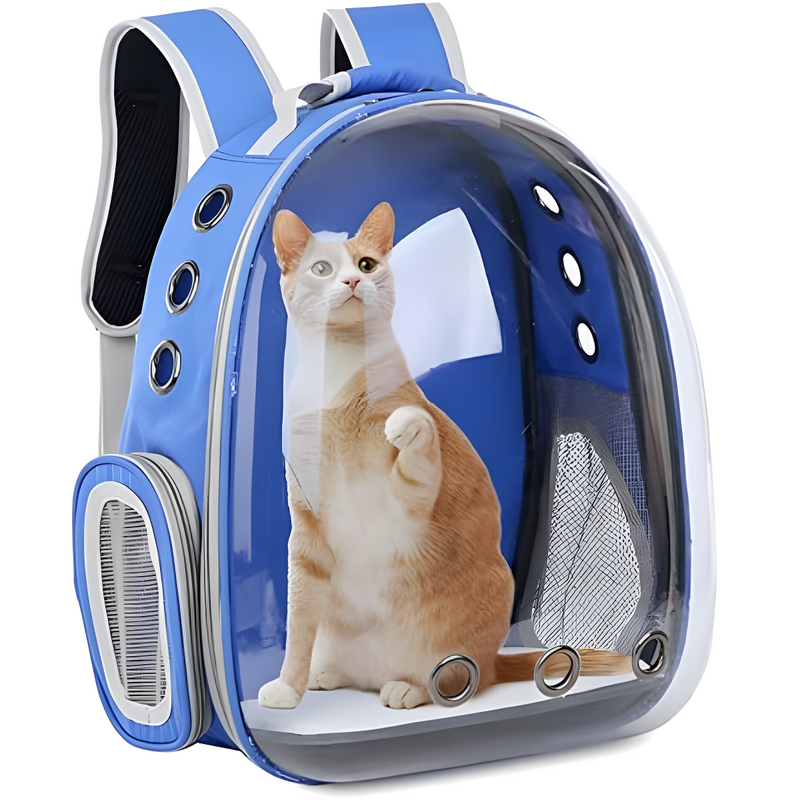 Mochila Pet Para Transporte De Cães E Gatos Visão Panorâmic