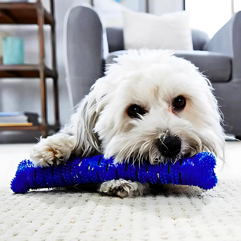 Mordedor Osso Removedor De Tártaros De Dentes Pets Chewbrush